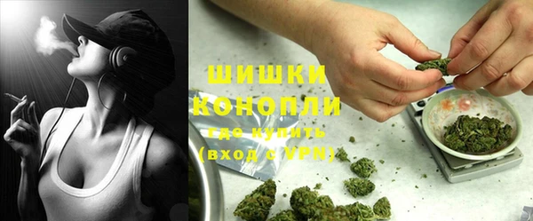 стафф Медвежьегорск