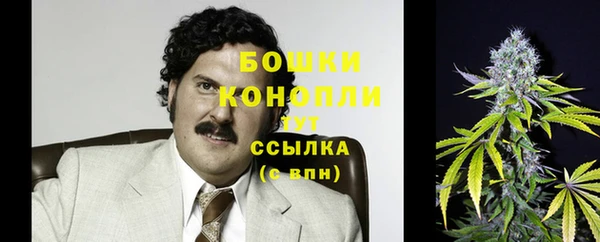 стафф Медвежьегорск