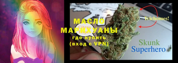 крисы Медногорск