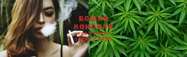 прущие крисы Мегион