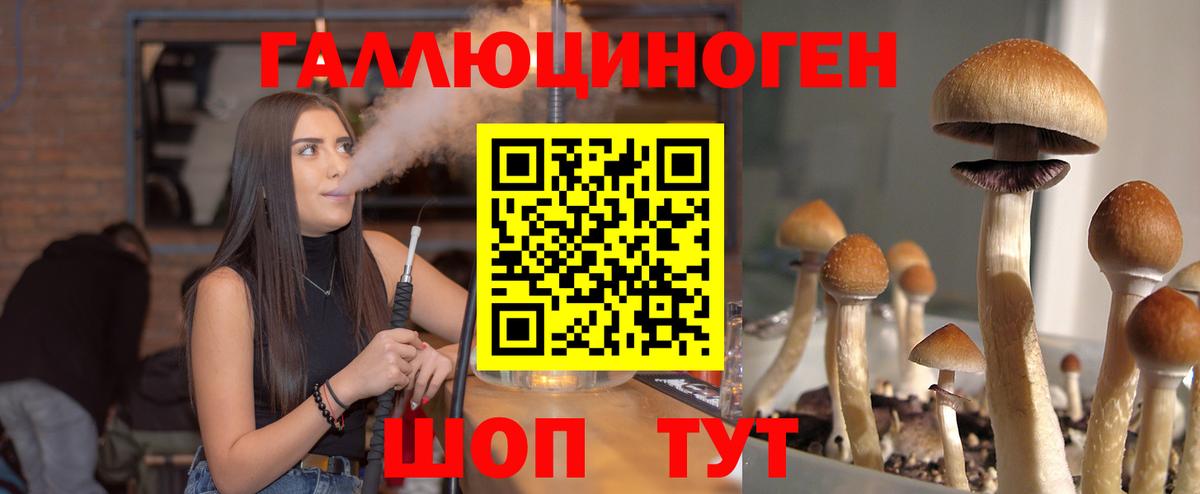 Галлюциногенные грибы GOLDEN TEACHER Всеволожск